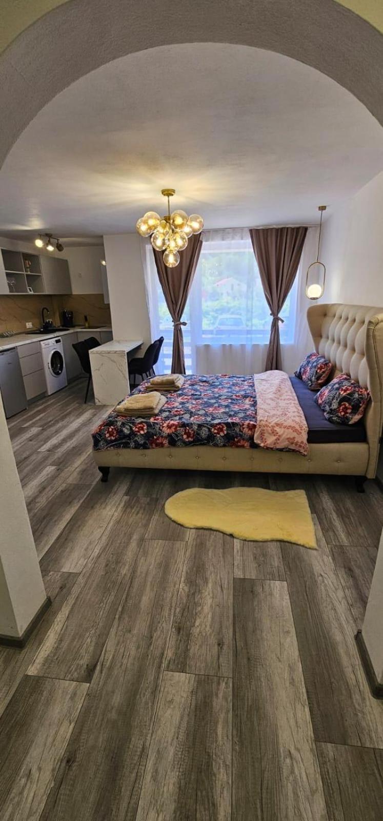 Escape Residence Vişeu de Sus Dış mekan fotoğraf